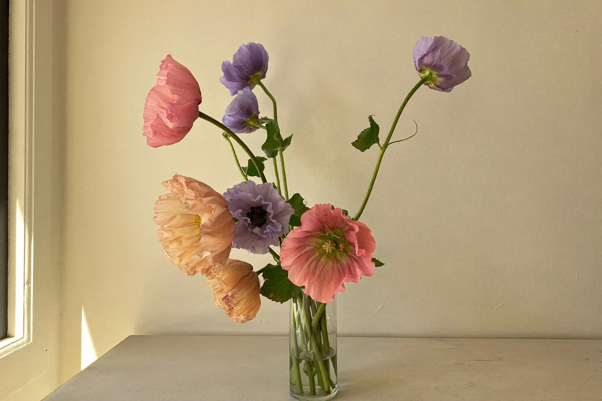 Cut flowers in a vase in soft morning window light