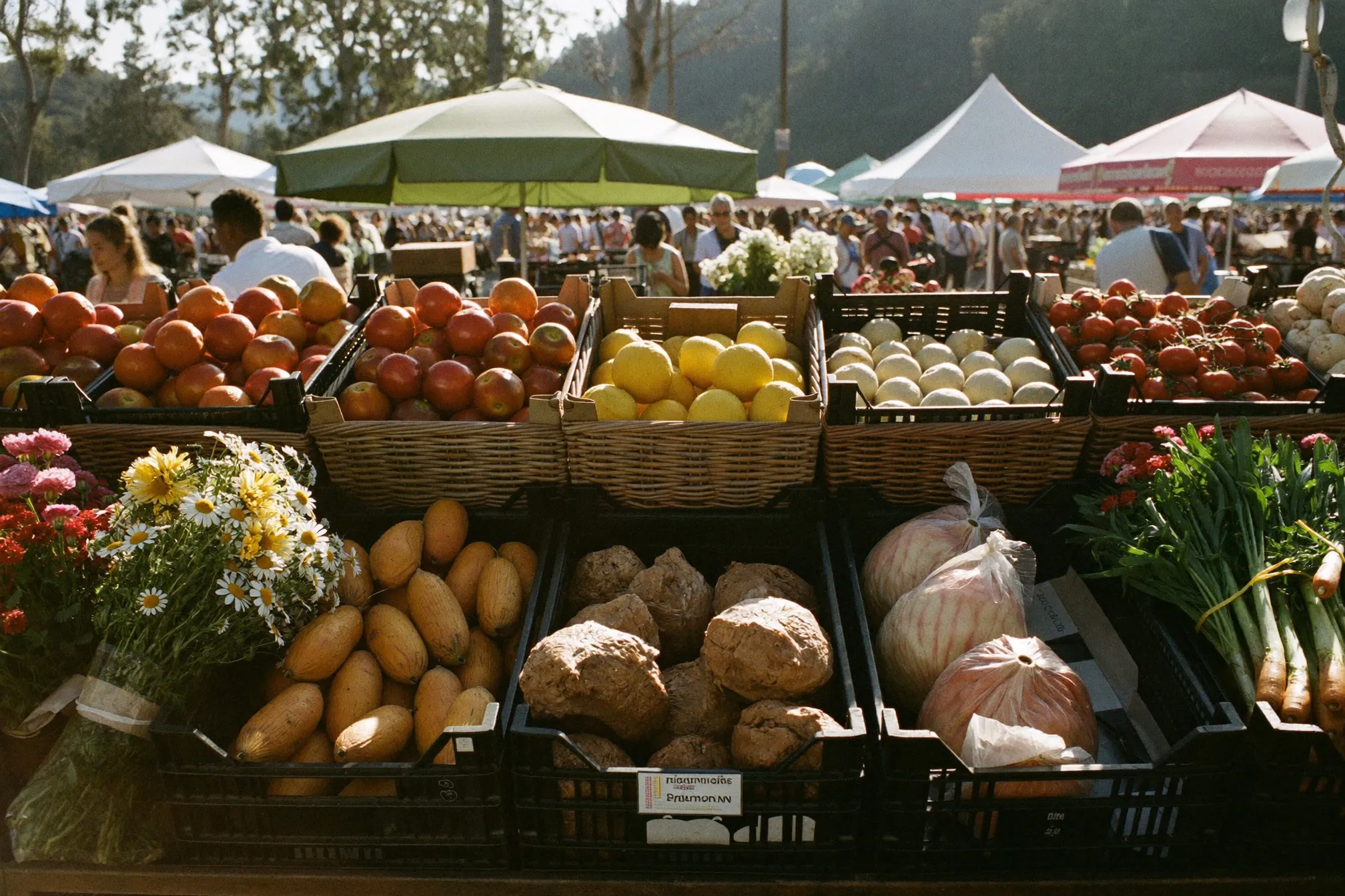 Farmers market stalls piled with produce and cut flowers in morning light