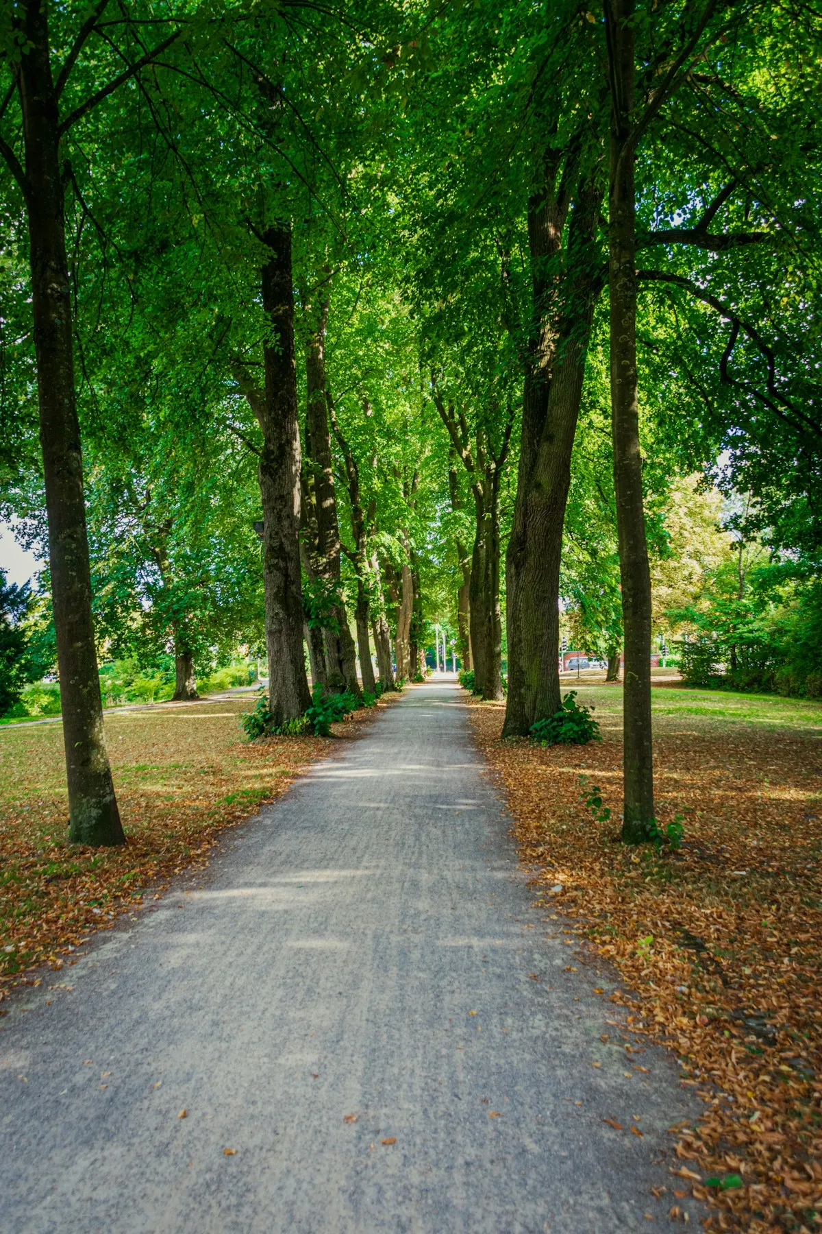 Parks & outdoors in San Jose